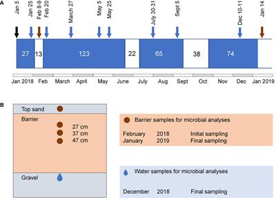 Nitrogen Removal Capacity of Microbial Communities Developing in Compost- and Woodchip-Based Multipurpose Reactive Barriers for Aquifer Recharge With Wastewater